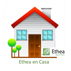 Ethea en casa